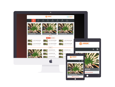 红色自适应新闻教程百科知识类网站模版主题
